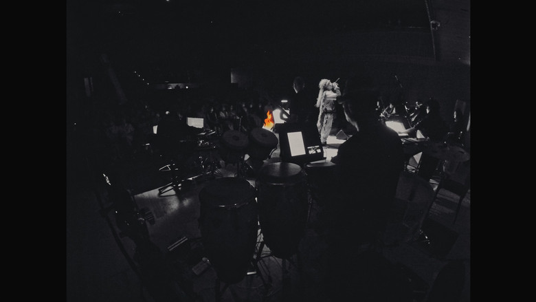 кадр из фильма 一把火 一张嘴 ：小老虎与上海交响乐团