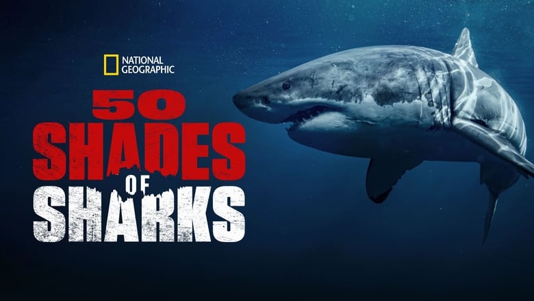 кадр из фильма 50 Shades of Sharks