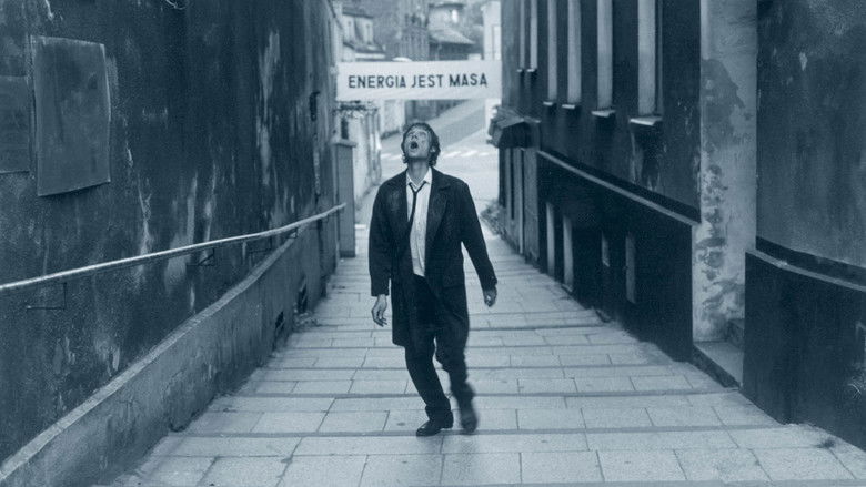 кадр из фильма Wojaczek