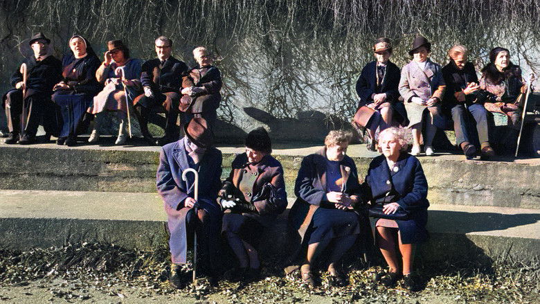 кадр из фильма Land des Schweigens und der Dunkelheit