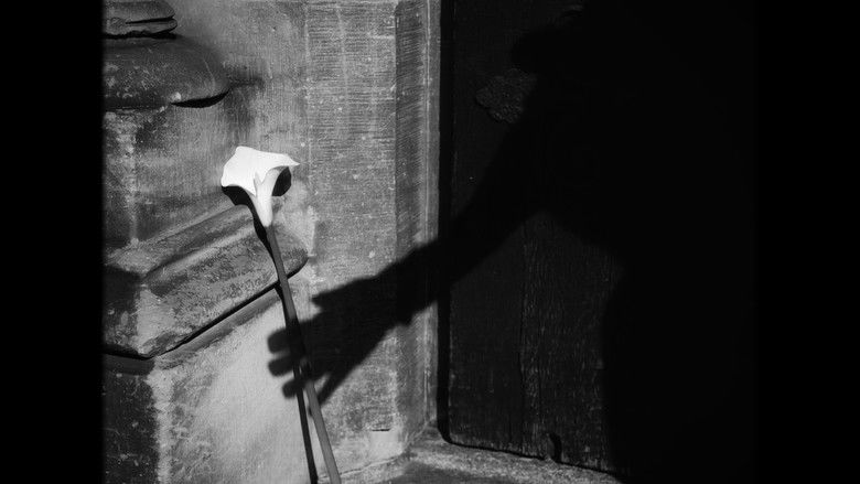 кадр из фильма Die Engel der Dreifaltigkeit