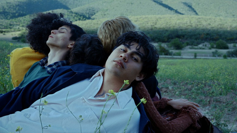 кадр из фильма Solo