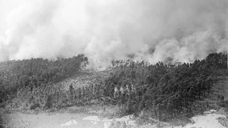 кадр из фильма 1949 : le Grand feu