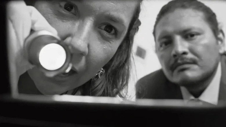 кадр из фильма Movimentos Migratórios