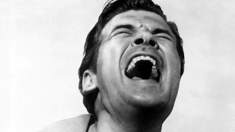 кадр из фильма Шоковый коридор