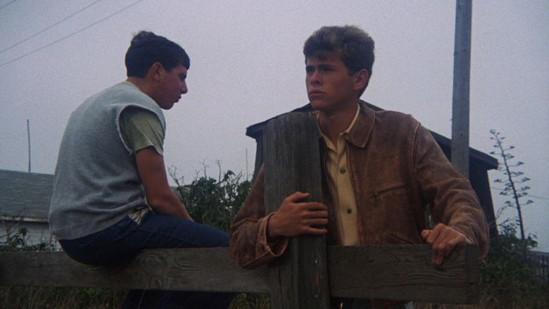 кадр из фильма Лето 42-го