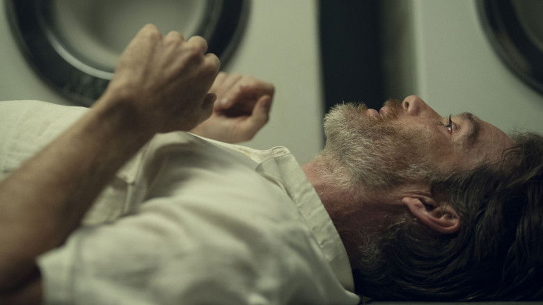 кадр из фильма Стив