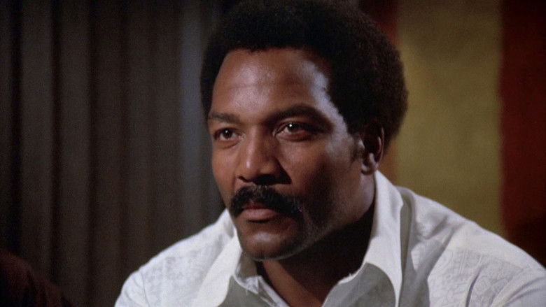 кадр из фильма Тернистый путь троих