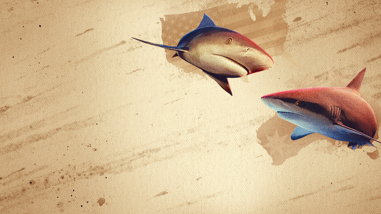 Bullshark Showdown