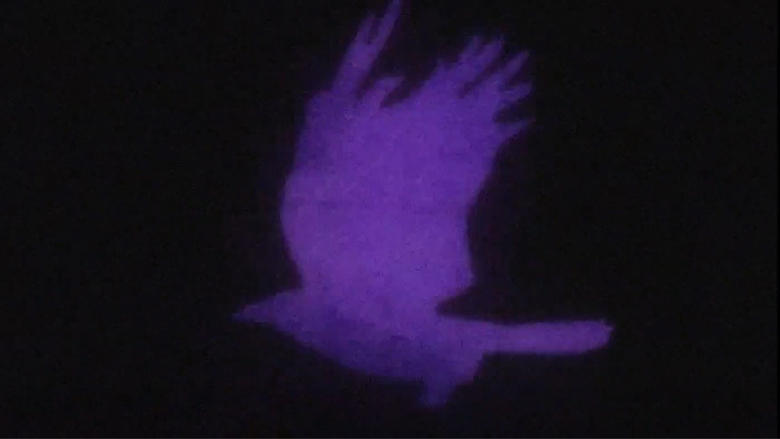 кадр из фильма Edgar Allan Poe's The Raven