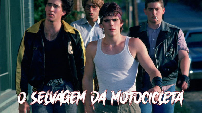 кадр из фильма Бойцовая рыбка