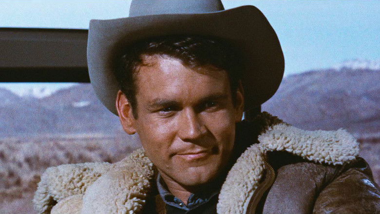 кадр из фильма Автобусная остановка