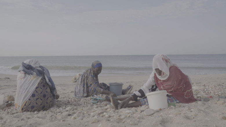 кадр из фильма A Letter from Yene