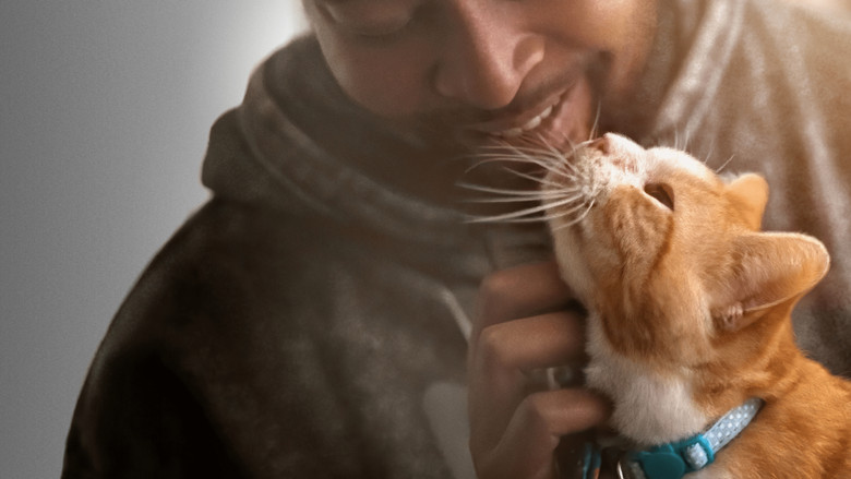 кадр из фильма Pets