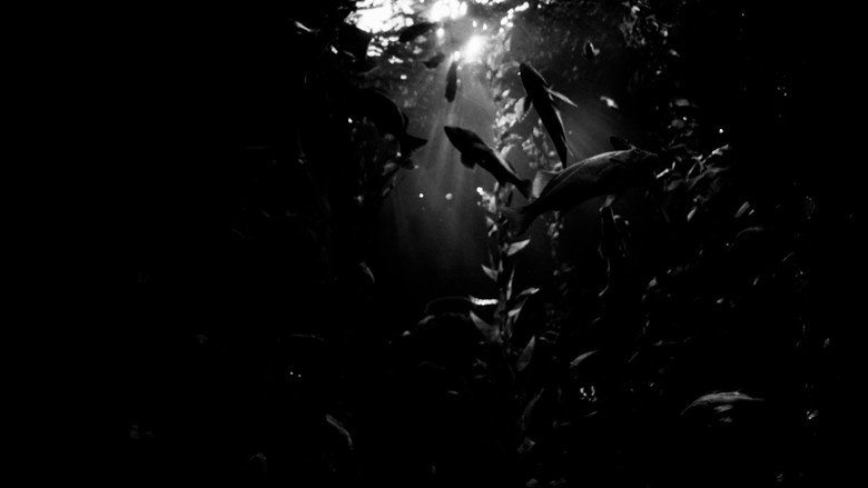 кадр из фильма Phish