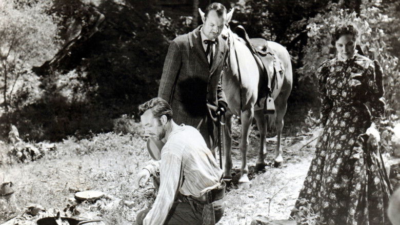 кадр из фильма Natchez Trace