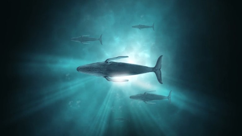 кадр из фильма Sonic Sea