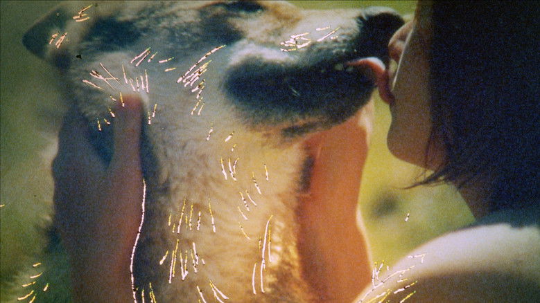 кадр из фильма Psylo