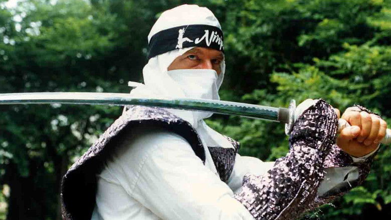 кадр из фильма The Ninja Showdown
