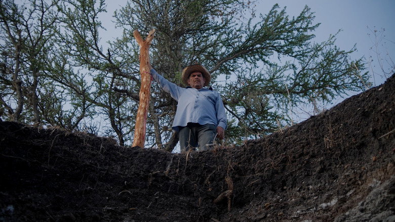 кадр из фильма Venero