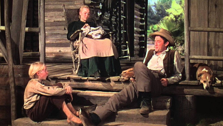 кадр из фильма Оленёнок