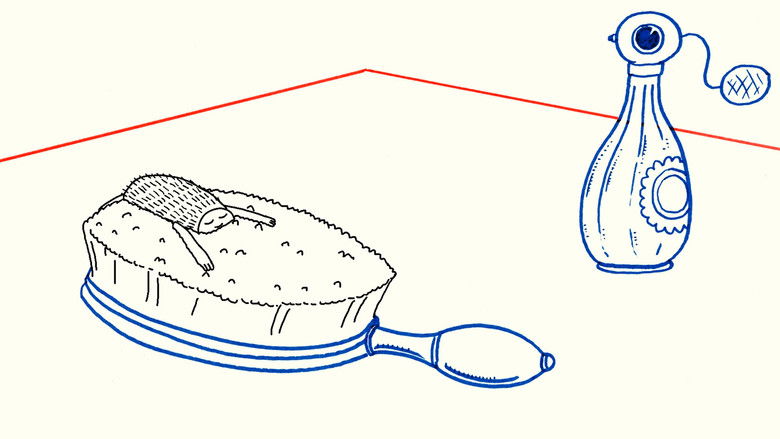 кадр из фильма Cipka