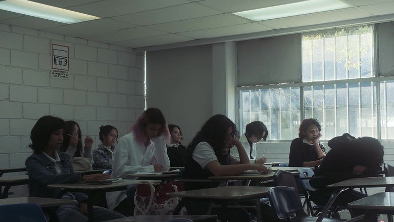 кадр из фильма Serendipia