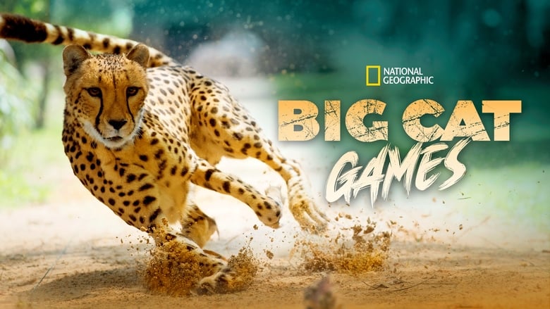 кадр из фильма Big Cat Games