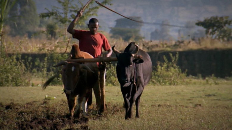 кадр из фильма Planète à vendre