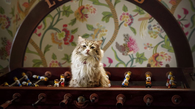 кадр из фильма Девять жизней