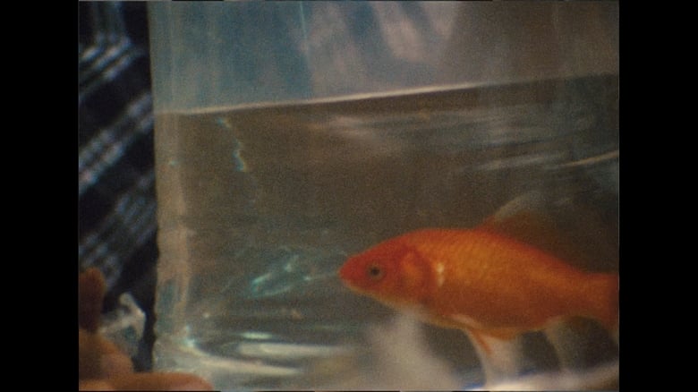 кадр из фильма Esconde-Esconde