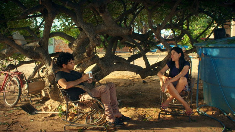 кадр из фильма Aurora