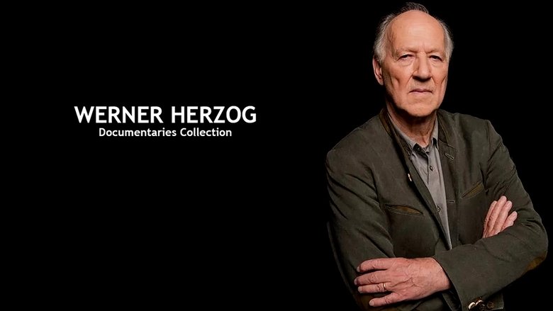 кадр из фильма The White Diamond