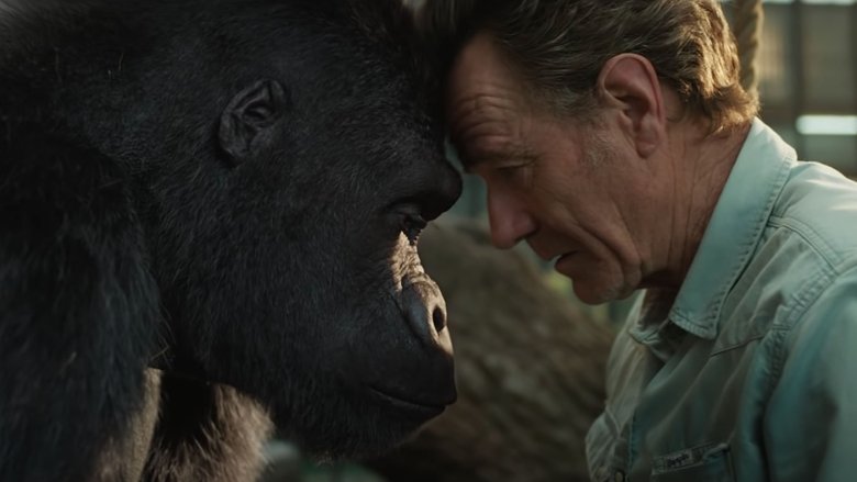 кадр из фильма Айван, единственный и неповторимый