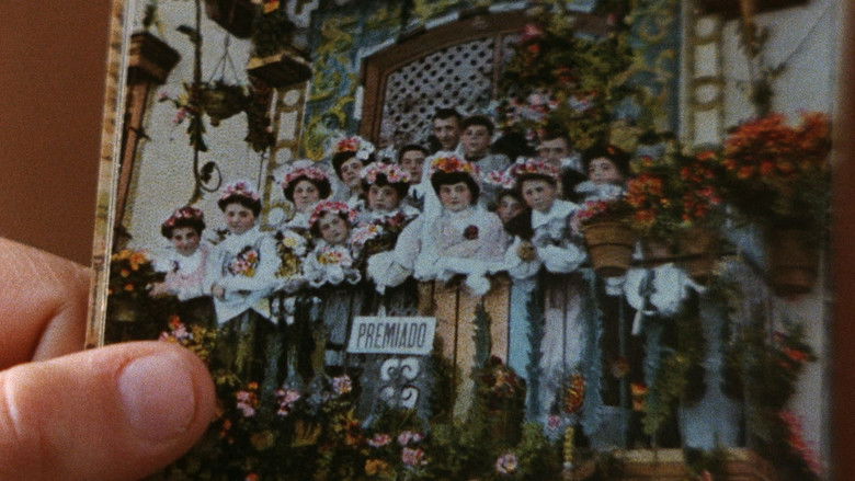 кадр из фильма Юг