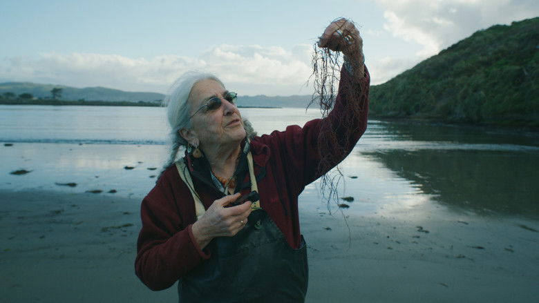 кадр из фильма Seaweed Stories