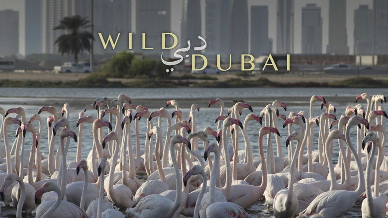 кадр из фильма Wild Dubai