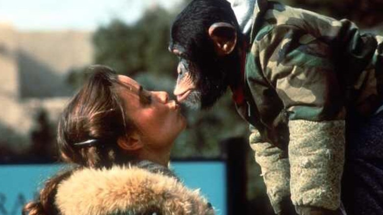 кадр из фильма Animal Behavior