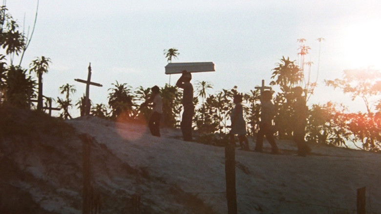 кадр из фильма Modus vivendi