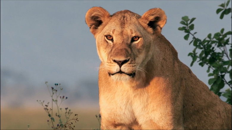 кадр из фильма Regime of the Queen