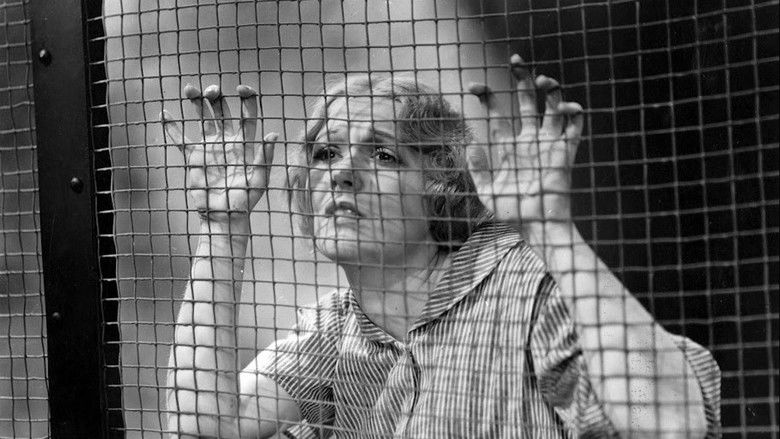 кадр из фильма Night Court