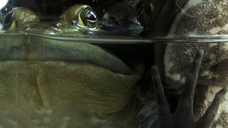 кадр из фильма The Lamps