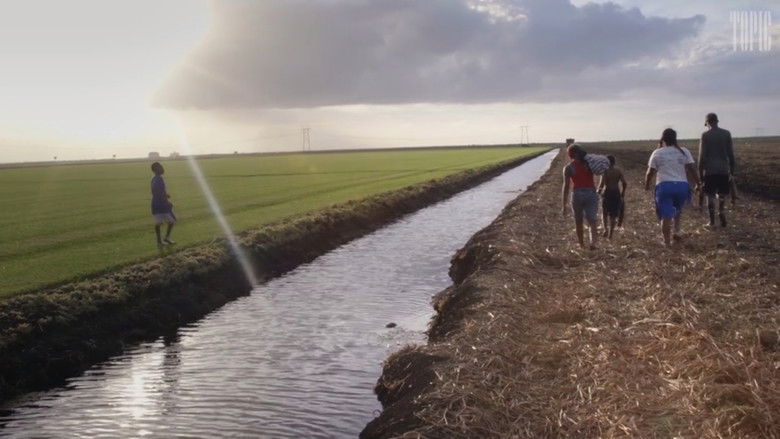 кадр из фильма The Rabbit Hunt