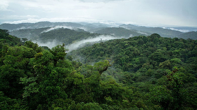 кадр из фильма Unsere Erde, unsere Meere