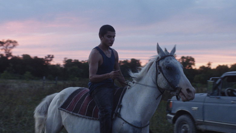 кадр из фильма Песни, которым меня научили братья