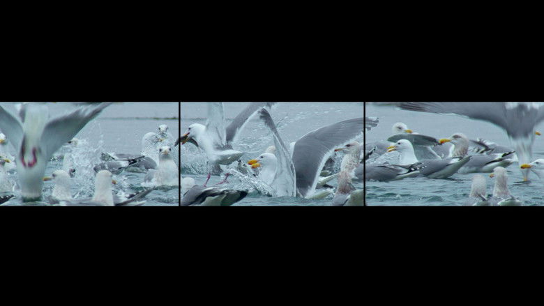 кадр из фильма GO FISH