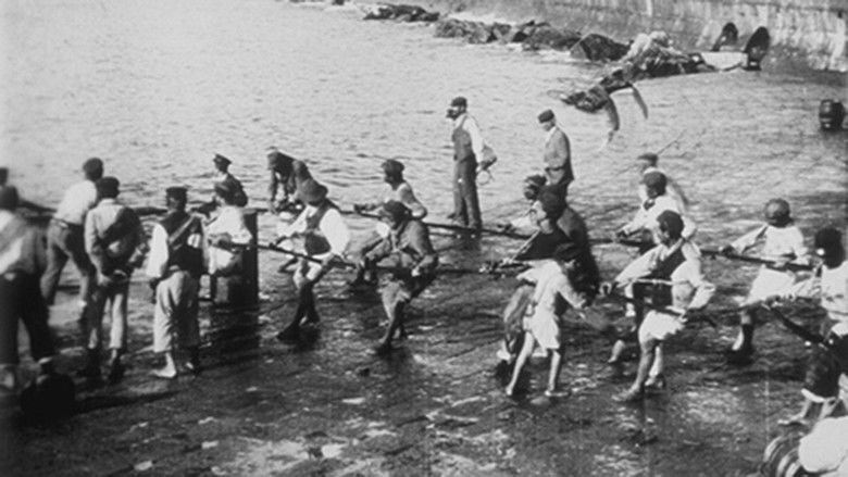 кадр из фильма Levée de filets de pêche