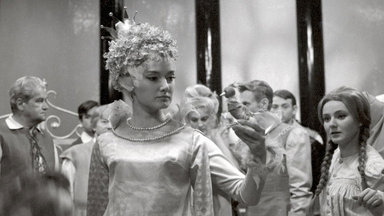 кадр из фильма Vo modrým ptáčku