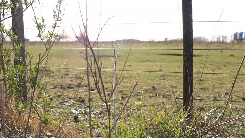 кадр из фильма KM 134