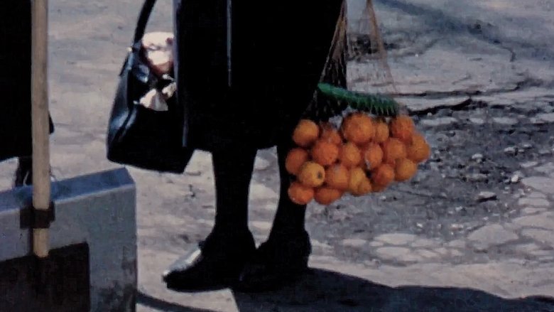 кадр из фильма Terra Femme